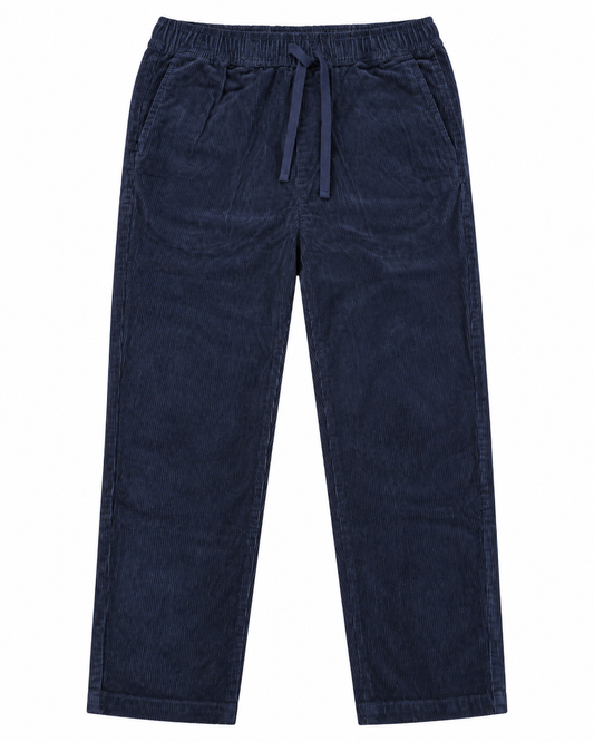 Pantalon Alwyn Hero Seven en velours côtelé bleu marine homme vue de face