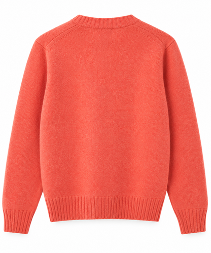 Pull Homme en Laine Shetland Corail – Hartford