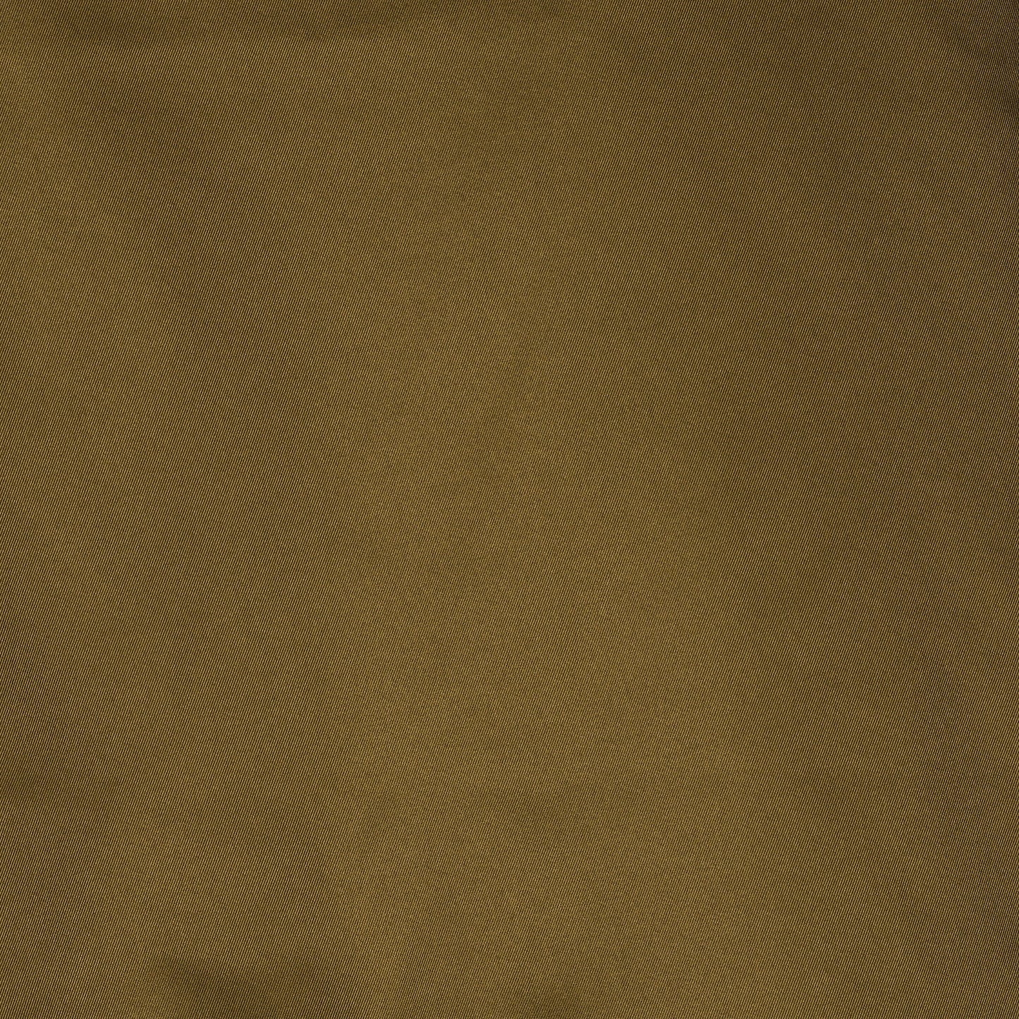 Veste Parka Nicolas Save the Duck Kaki