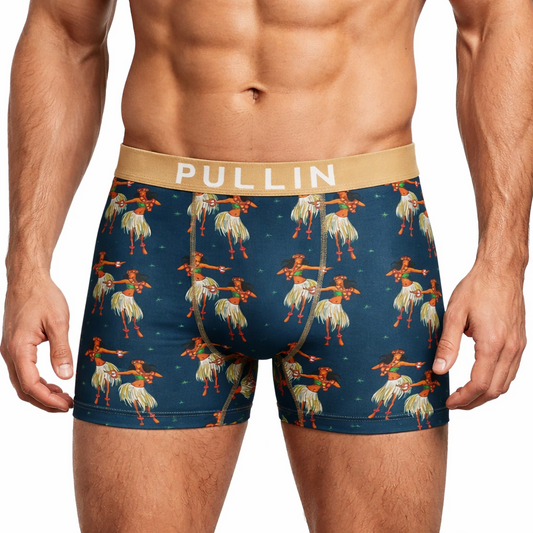 Boxer homme FASHION 2 Houla