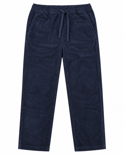 Pantalon Alwyn Hero Seven en velours côtelé bleu marine homme vue de face
