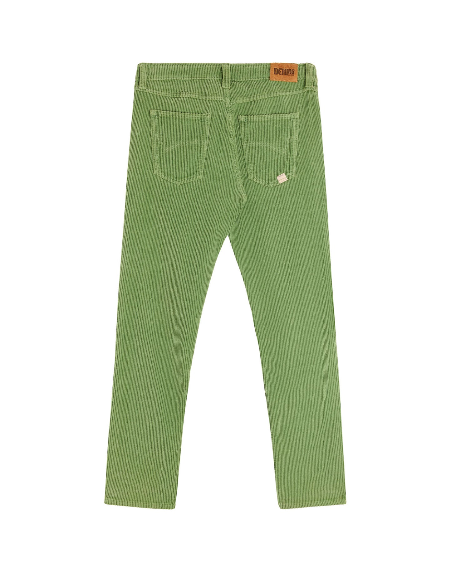 Pantalon Classic ROYSHADE Pullin Vert