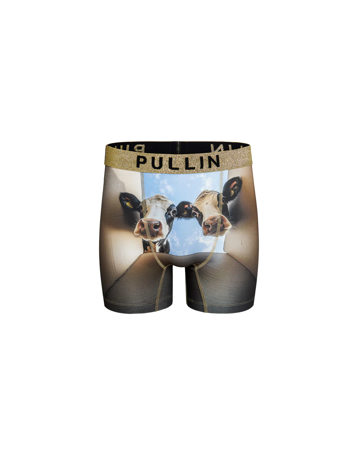 Boxer homme FASHION 2 Long Cowy